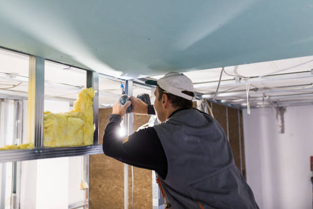 Types of Insulation We Offer in Lisbon, ND