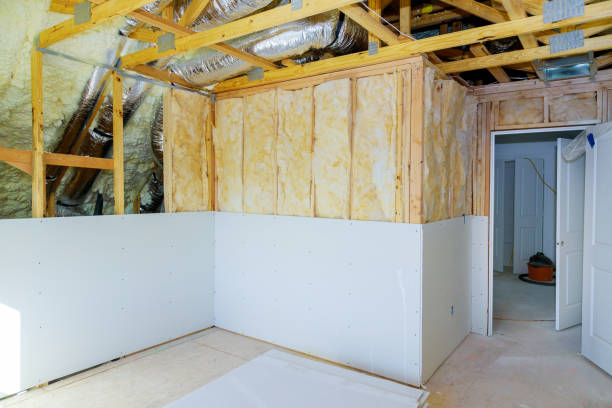 Best Specialized Insulation Services in Lisbon, ND