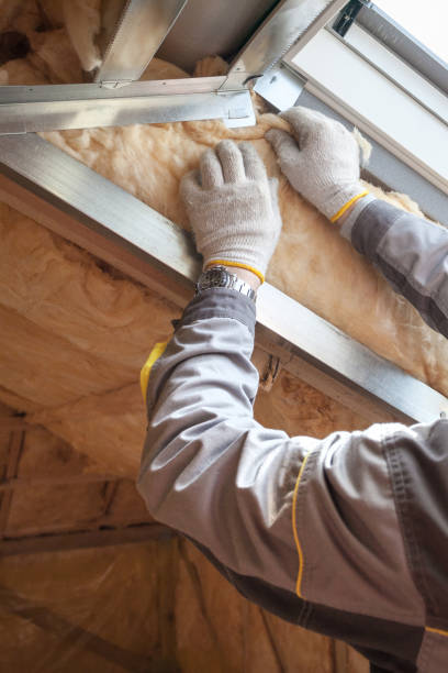 Best Cellulose Insulation in Lisbon, ND